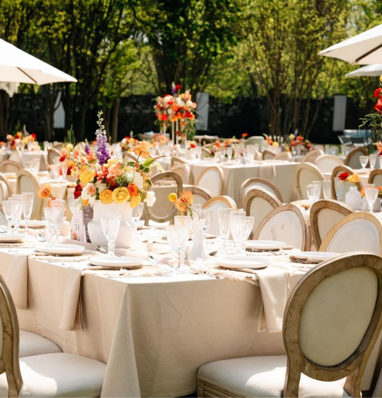 River Meadow Manor-Outdoor Wedding set up 1 River Meadow Manor-Outdoor Wedding set up 1