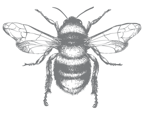 River Meadow Manor Logo Bee-grey