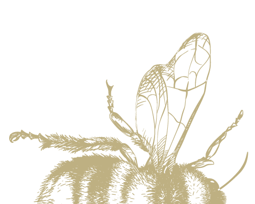 RMM Logo Half-Bee-gold